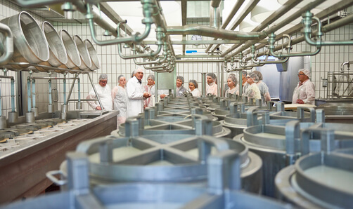 Allgäuer Käse-Seminar
