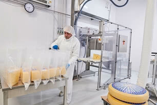 The image shows one of our Allgäu cheesemakers carefully packing freshly cut pieces of organic cheese into recyclable plastic bags.