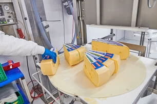 The image depicts handcrafted pieces of organic cheese being carefully handled in our traditional Allgäu production facility.