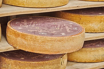 The image displays several round wheels of artisanal Allgäu cheese resting on storage shelves, aged in accordance with traditional methods and crafted from certified organic milk.