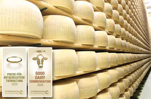 The image displays a stack of cheese crates alongside awards for animal welfare earned in 2020.
