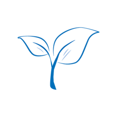 The image features two stylised leaves set against a serene blue background, echoing the fresh, natural qualities of our Allgäu region and the care we put into every wheel of organic cheese.