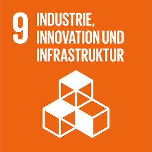 The image illustrates Goal 9 of the UN Agenda for Sustainable Development, which focuses on industry, innovation and infrastructure.