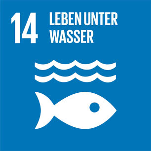 The image shows the symbol for Goal 14 of the UN Sustainable Development Goals, which focuses on the protection of life below water.