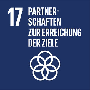 The image depicts Goal 17 of the United Nations’ Sustainable Development Goals: “Partnerships for the Goals.”