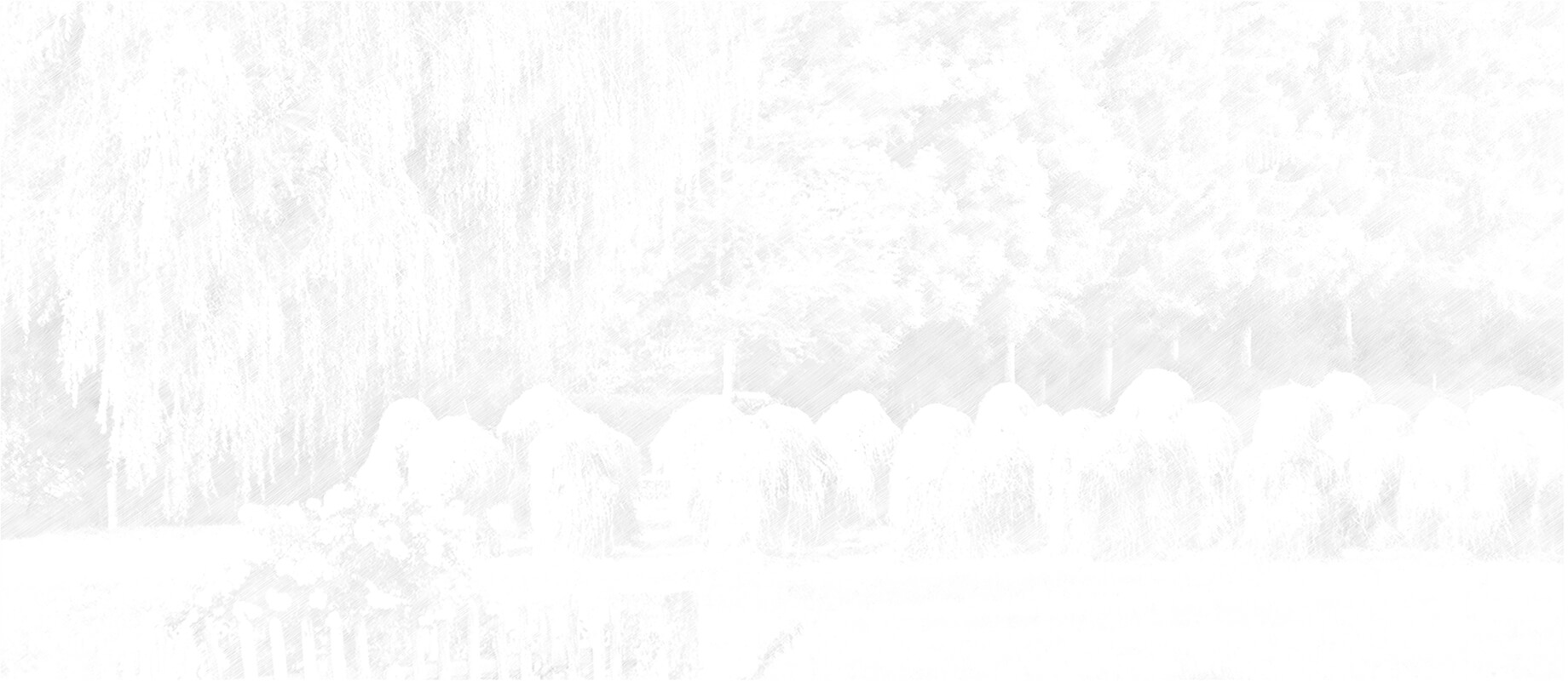 The image is out of focus and may show a landscape with trees or bushes.