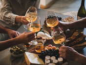 The image captures a convivial moment as guests raise their glasses to toast, surrounded by an array of organic appetizers and beverages.