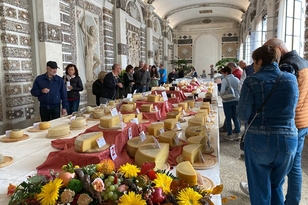 The image depicts a lively organic cheese tasting event where guests examine and savor a broad selection of artisanal varieties.