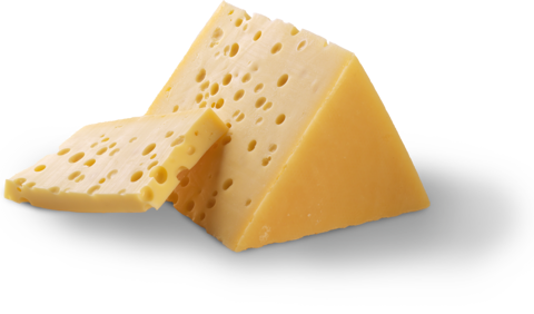 The image presents a piece of our organic Allgäu Emmental, renowned for its characteristic holes and nutty aroma.